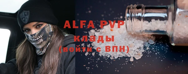 стаф Богданович