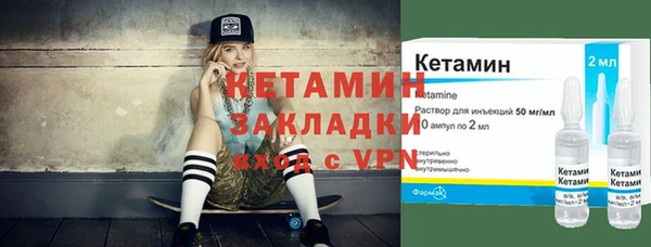стаф Богданович