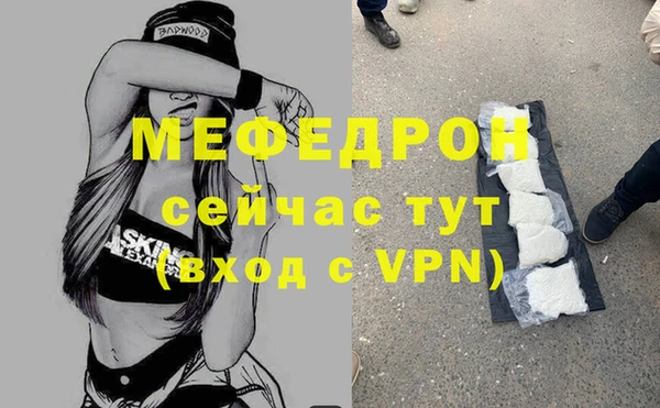 стаф Богданович