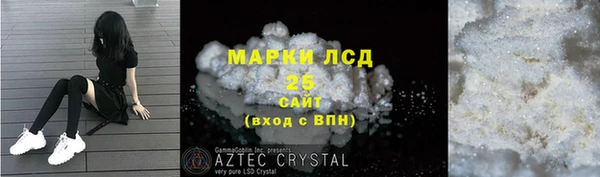 стаф Богданович