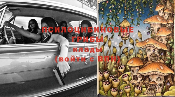 стаф Богданович