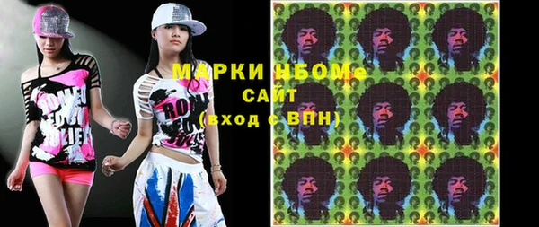 стаф Богданович