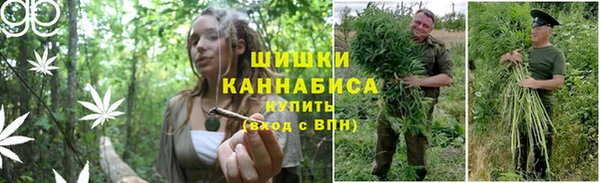 PSILOCYBIN Богородицк