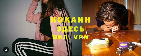 стаф Богданович